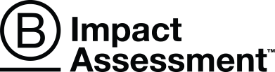 B Impact Assessment